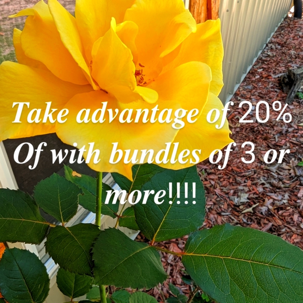 30% OFF